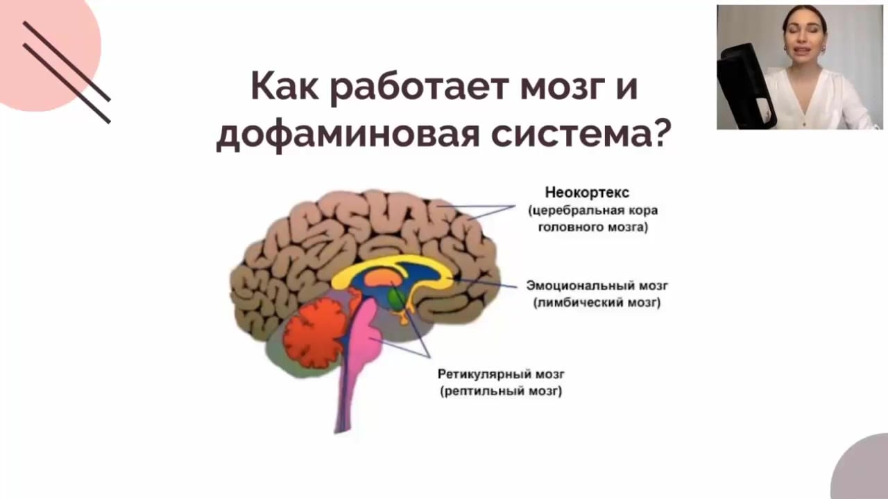 Архитектор Йозеф Хоффман: биография, творчество, работы