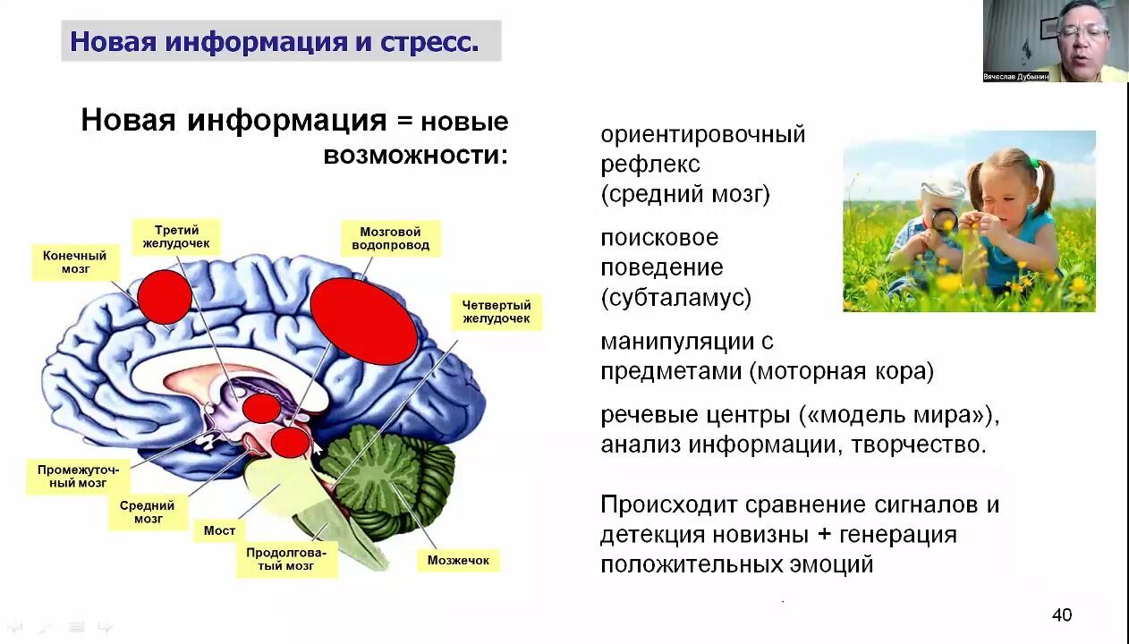       TVOYBROCOM