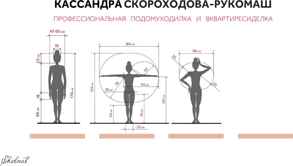 Длина и ширина человека. Габариты человека эргономика. Ширина плеч эргономика. Ширина человека эргономика. Размеры человека.